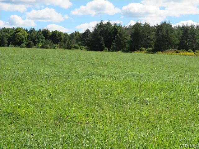 Land for sale in Town of Caneadea, Allegany County