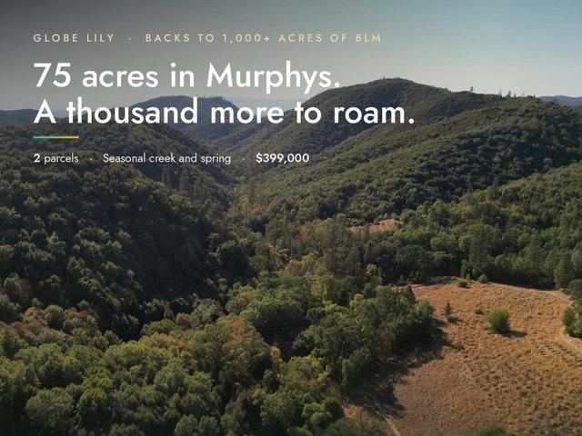 Land for sale in Clark County, Kansas