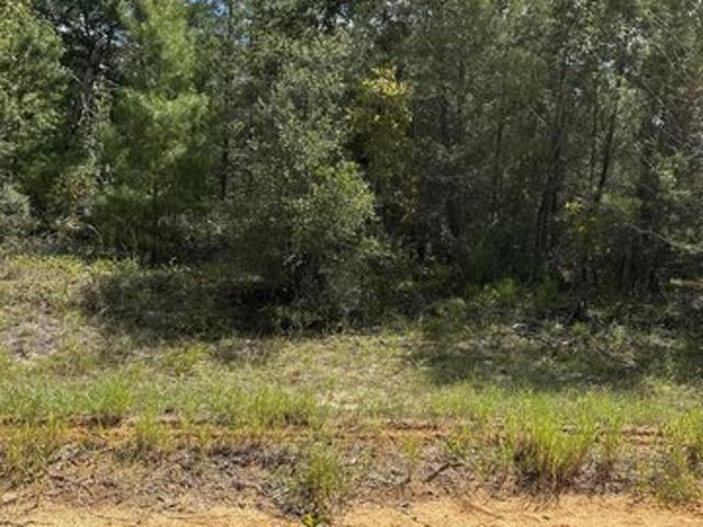 Land for sale in Interlachen, Putnam County