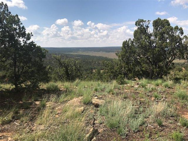 Land for sale in Ilfeld, New Mexico