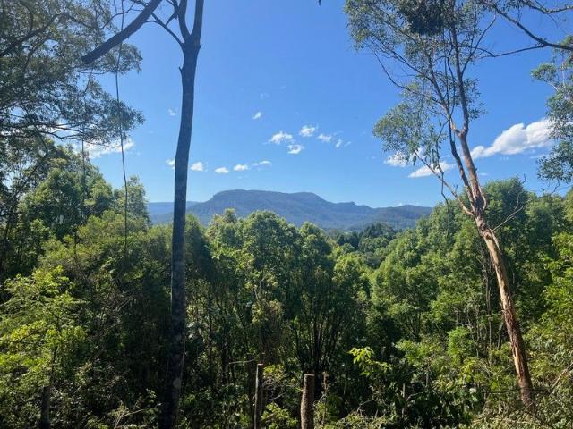 Land for sale in Nimbin, New South Wales