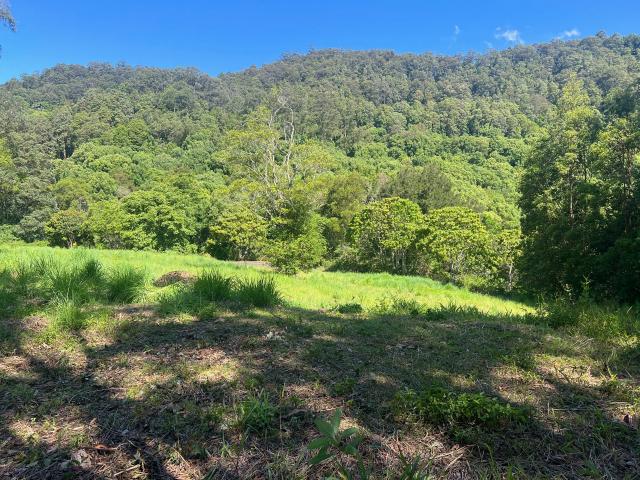 Property for sale in Nimbin, New South Wales