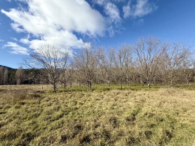 Property for sale in Towamba, New South Wales