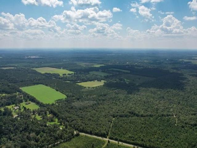 Land for sale in Quincy, Florida
