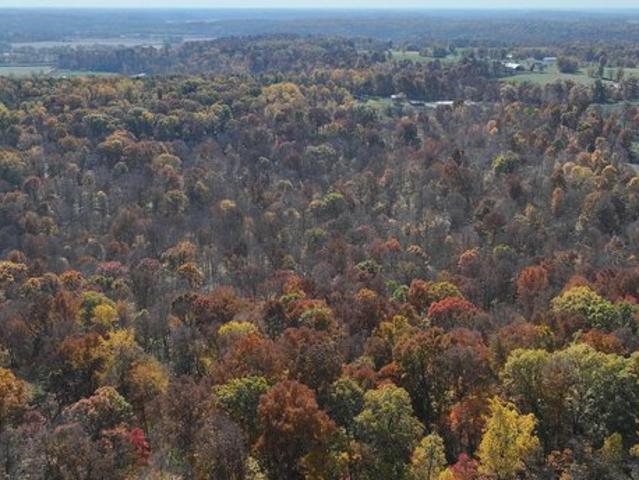Land for sale in Freedom, Indiana
