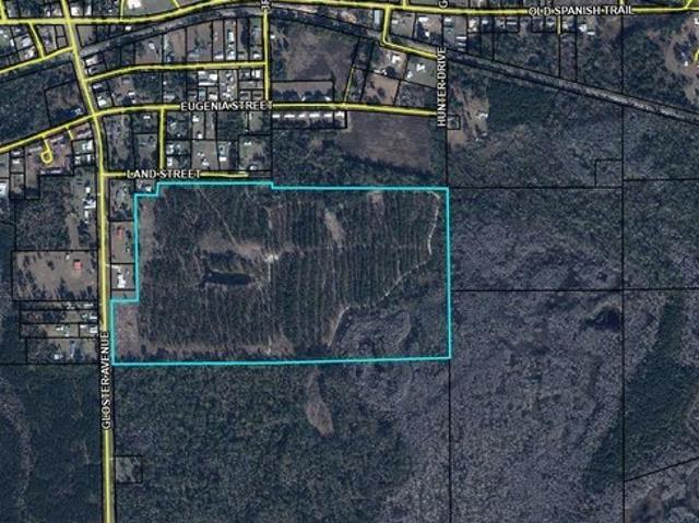 Land for sale in Sneads, Jackson County