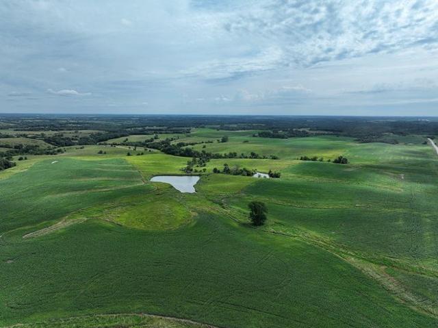 Land for sale in Osceola, Clarke County