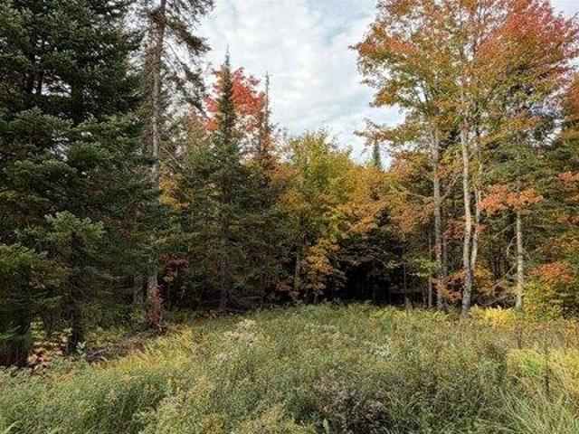Land for sale in Glover, Orleans County