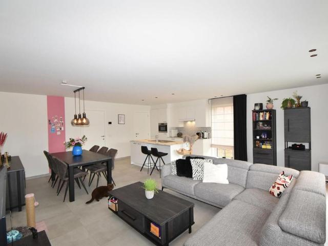 Appartement location à Poederlee, Lille