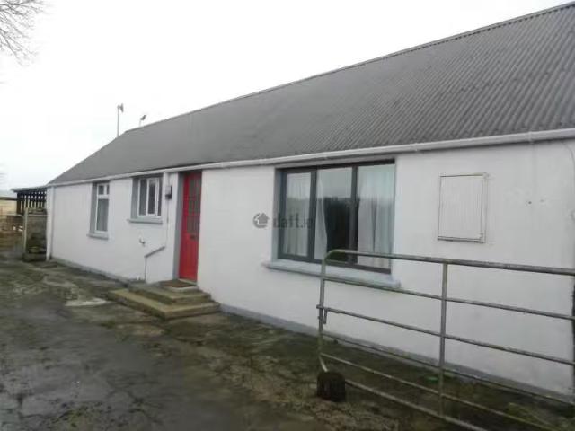 House to rent