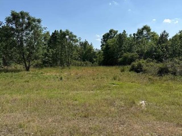 Land for sale in Timmonsville, South Carolina