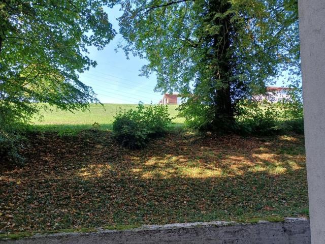 Wohnung kaufen in Gmunden, Bezirk Gmunden