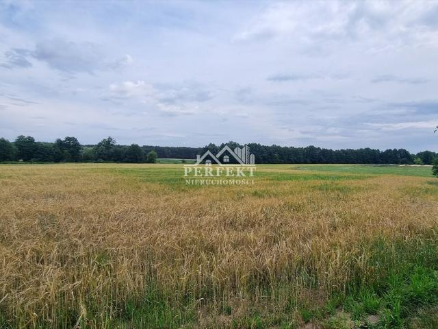 Grunt na sprzedaż w Gniewkowo, Kujawsko-pomorskie