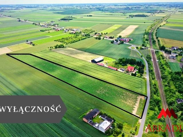 Grunt na sprzedaż w Kowal, Kujawsko-pomorskie