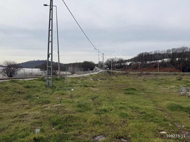 Pendik, İstanbul içerisinde satılık mülk