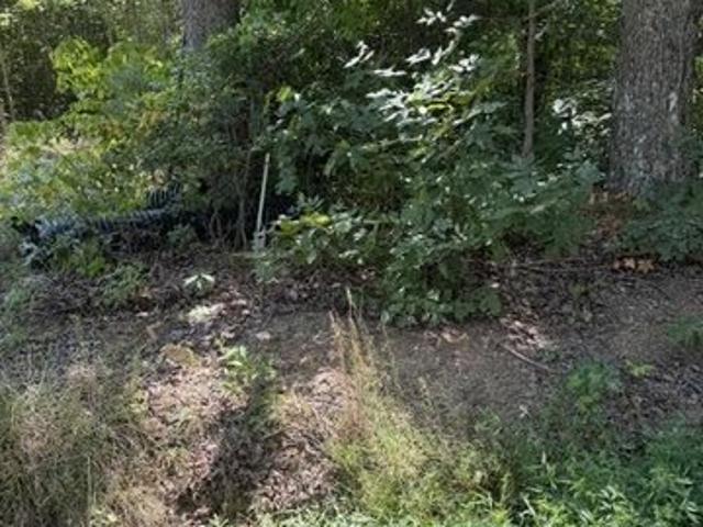 Land for sale in Virginia