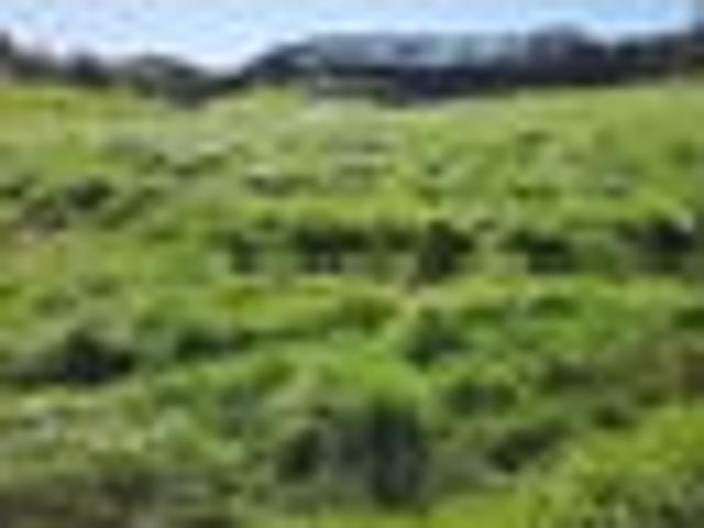 Land for sale in Egmont Village, Taranaki