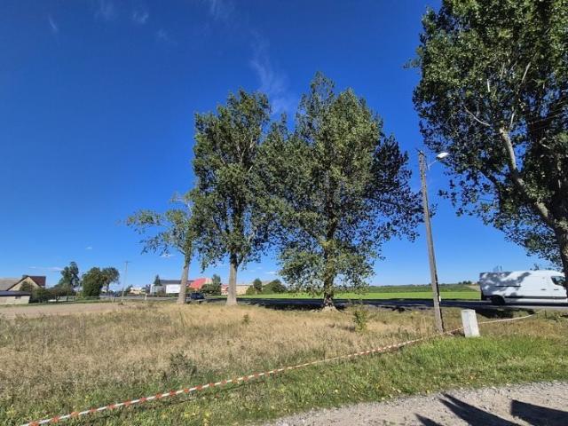 Grunt na sprzedaż w Goślinowo, Wielkopolskie