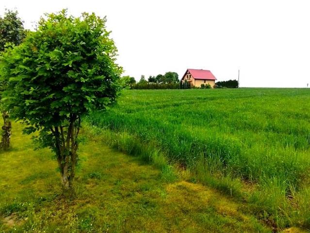 Grunt na sprzedaż w Chojnów, Dolnośląskie