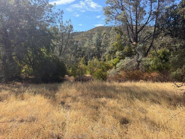 Land for sale in Stonyford, Colusa County