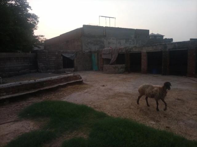 Commercial for rent in Islamabad