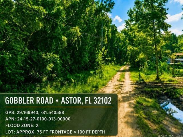 Land for sale in Astor, Florida