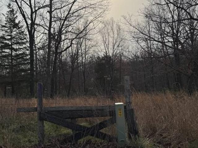 Land for sale in Steelville, Missouri