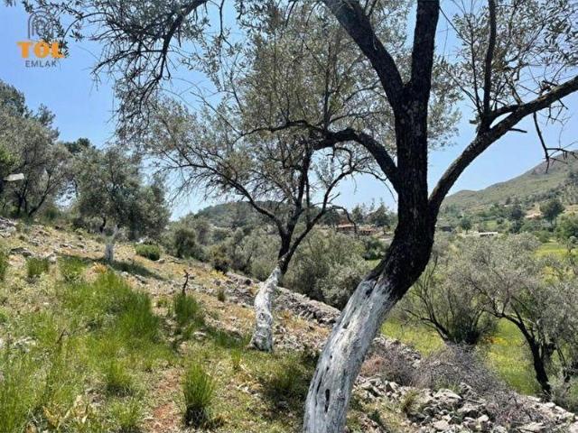 Fethiye, Muğla içerisinde satılık mülk