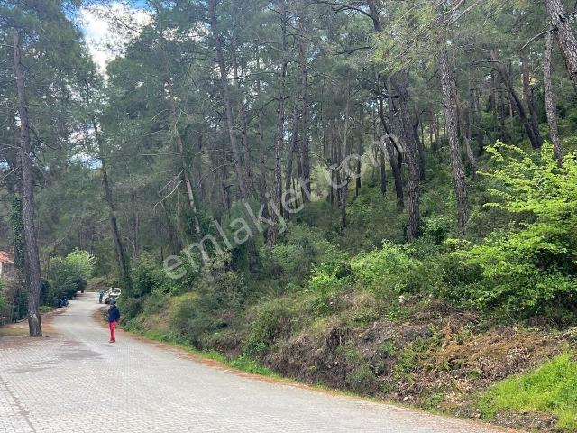 Fethiye, Muğla içerisinde kiralık mülk