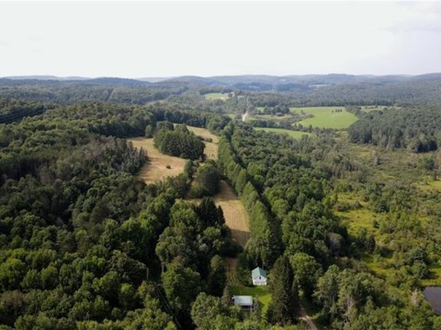 Land for sale in Burlington Flats, New York