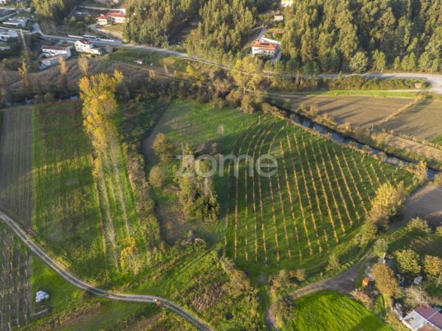 Terreno venda em Devesa, Bitarães