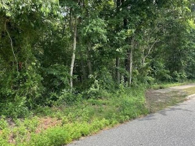 Land for sale in Woodbine Land for sale in Woodbine