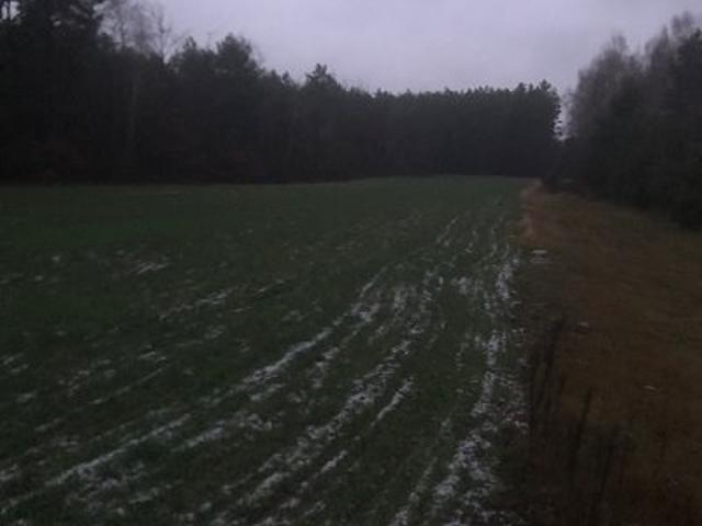 Grunt na sprzedaż w Godziesze Wielkie, Wielkopolskie