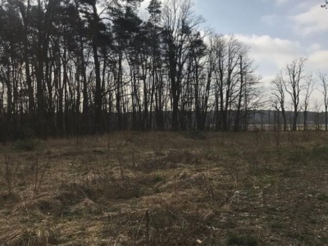 Grunt na sprzedaż w Godziesze Wielkie, Wielkopolskie