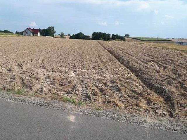 Grunt na sprzedaż w Godziesze Wielkie, Wielkopolskie