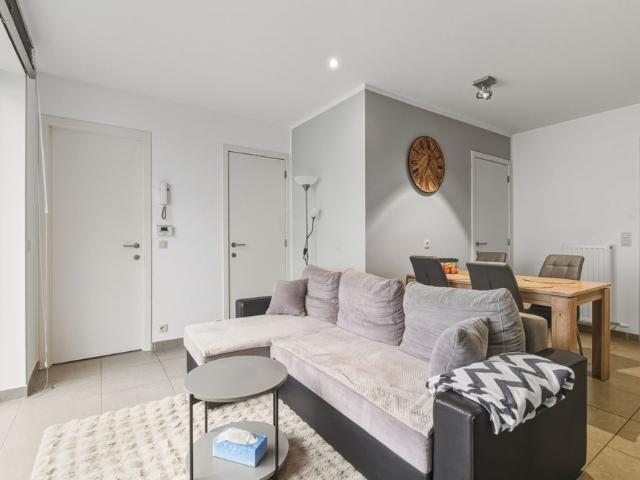 Appartement location à Lokeren, Oost-Vlaanderen