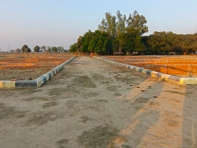 Land for sale in Lakhana, Arunachal Pradesh