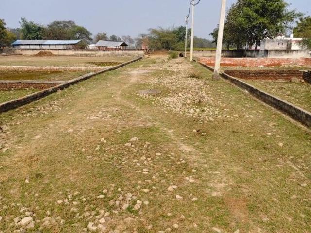 Land for sale in Lakhana, Arunachal Pradesh