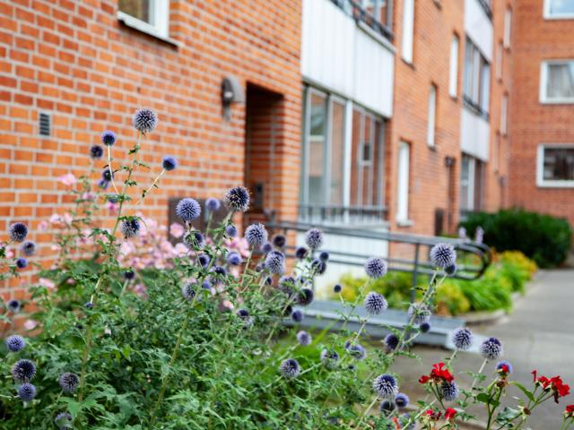 Hus hyra i Skåne