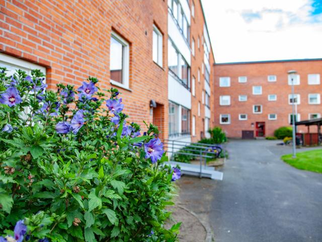Hus hyra i Kristianstad