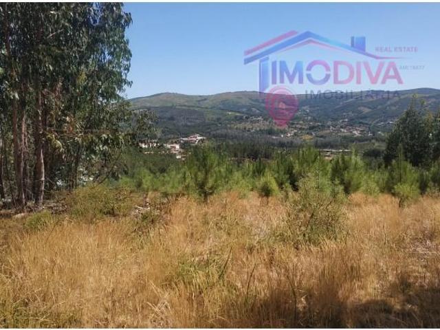 Terreno venda em Góis, Coimbra