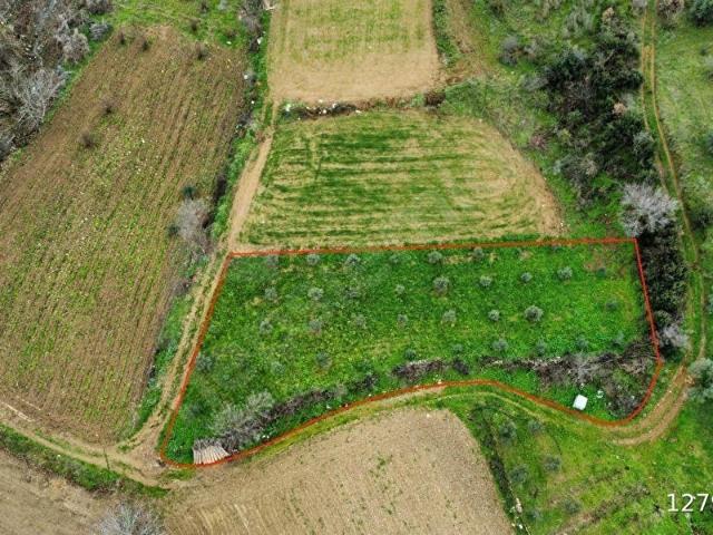 Ödemiş, İzmir içerisinde satılık Arsa