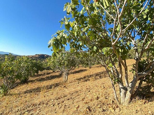 Ödemiş, İzmir içerisinde satılık Arsa