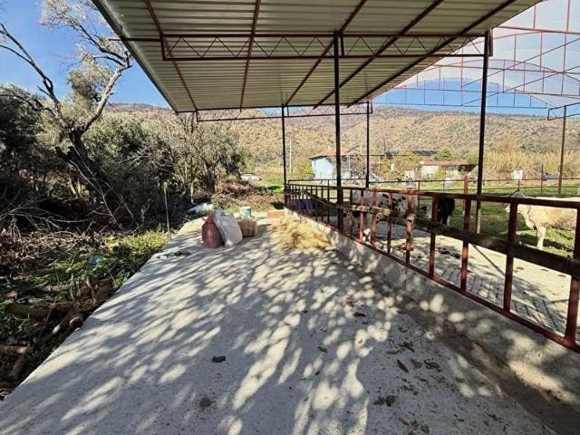 Ödemiş, İzmir içerisinde satılık Fabrika