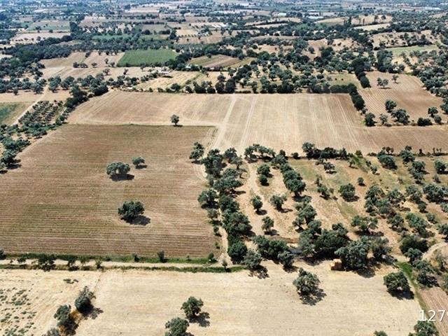 Ödemiş, İzmir içerisinde satılık Arsa