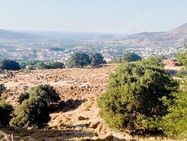 Çınarlı, Gökçeada içerisinde satılık Arsa