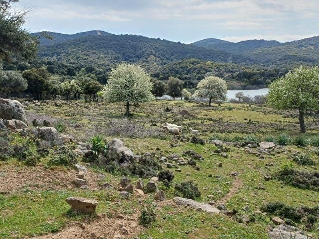 Zeytinliköy, Gökçeada içerisinde satılık Arsa
