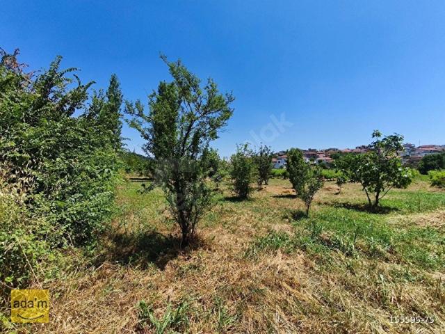 Selçuk, İzmir içerisinde satılık Arsa