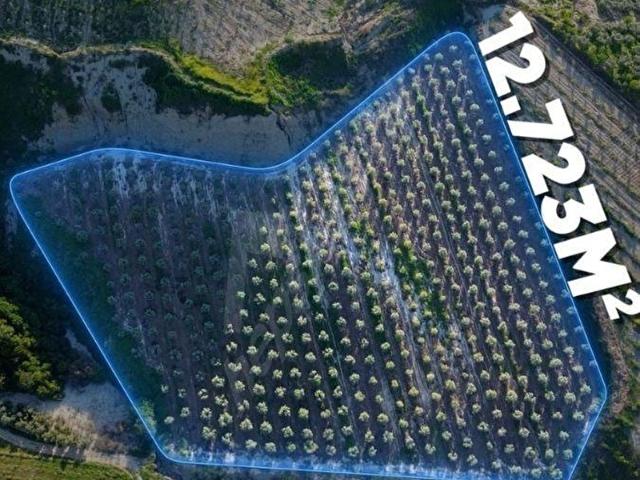 Alaşehir, Manisa içerisinde satılık mülk