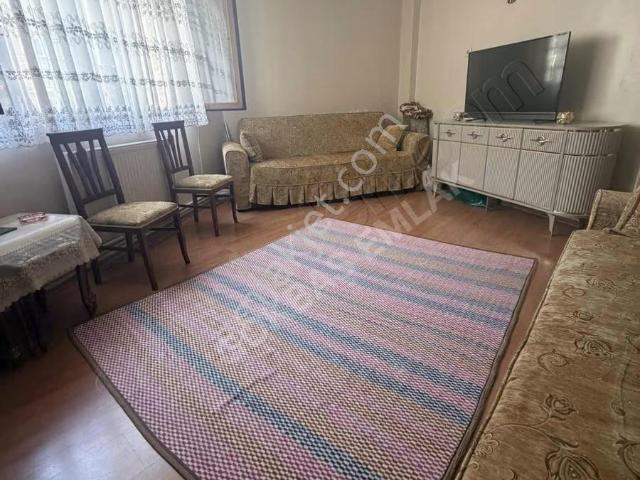 İstanbul Merkez, İstanbul içerisinde satılık mülk